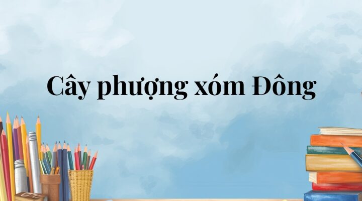 Cây phượng xóm Đông lớp 5 (trang 96, 97) – Cánh diều