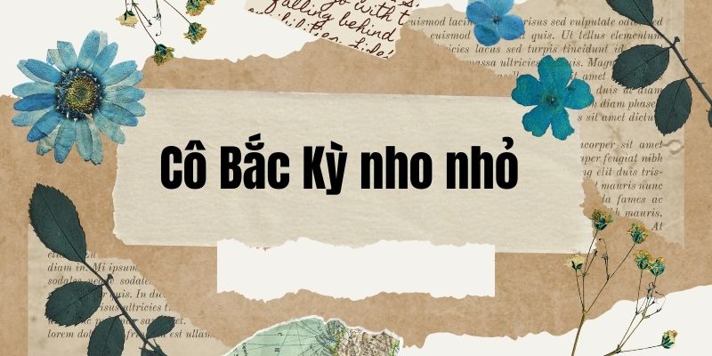 Cô Bắc kỳ nho nhỏ (Nguyễn Tất Nhiên)