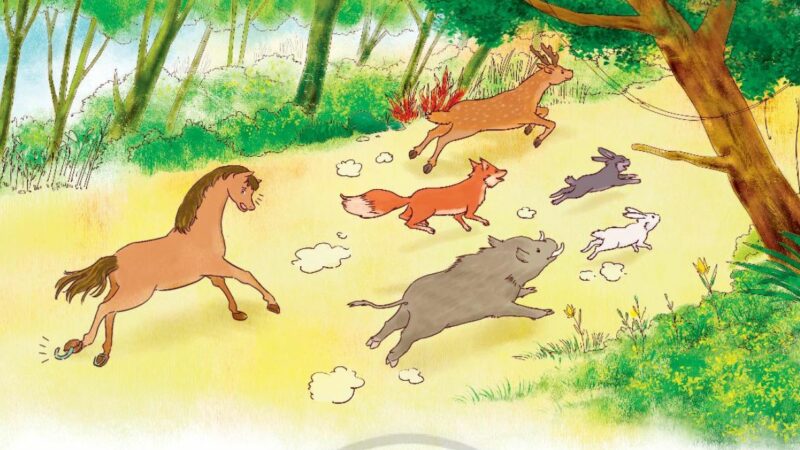 Bài 1: Cuộc chạy đua trong rừng Tiếng Việt lớp 3 Chân trời sáng tạo