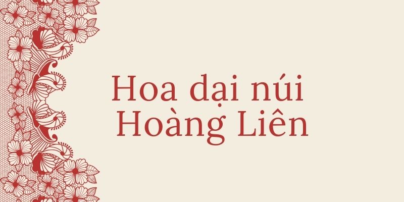 Hoa dại núi Hoàng Liên (Xuân Quỳnh)