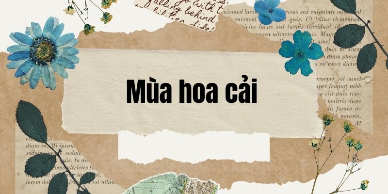 Bài thơ mùa hoa cải (Nghiêm Thị Hằng)