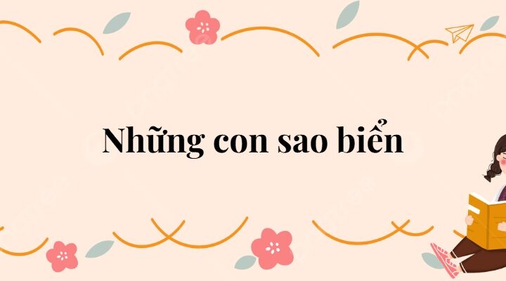Bài 15: Những con sao biển Tiếng Việt lớp 2 Kết nối tri thức