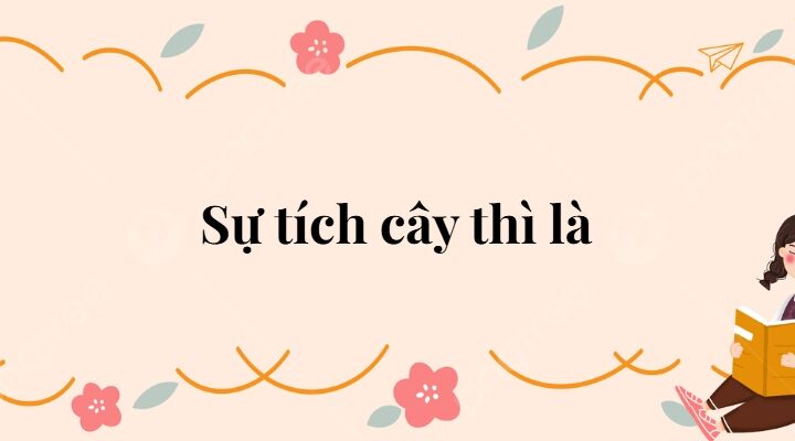 Bài 11: Sự tích cây thì là Tiếng Việt lớp 2 Kết nối tri thức