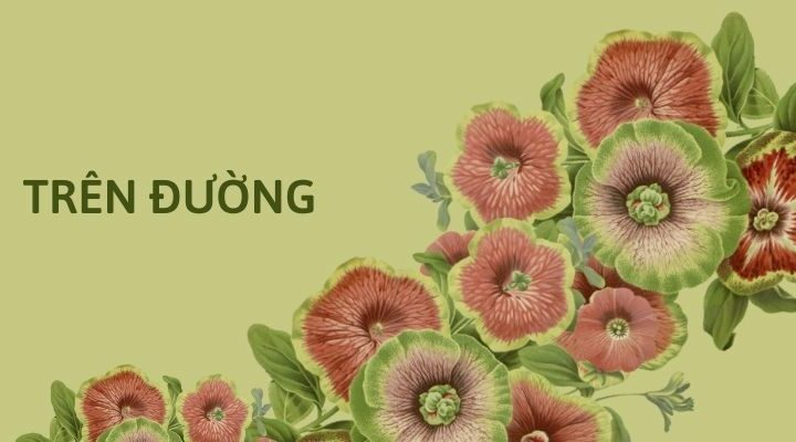 Bài thơ Trên đường (Hương Mai)