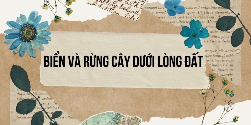 Bài 5: Biển và rừng cây dưới lòng đất – Tiếng Việt lớp 4 Chân trời sáng tạo