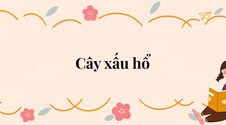 Bài 7: Cây xấu hổ Tiếng Việt lớp 2 Kết nối tri thức