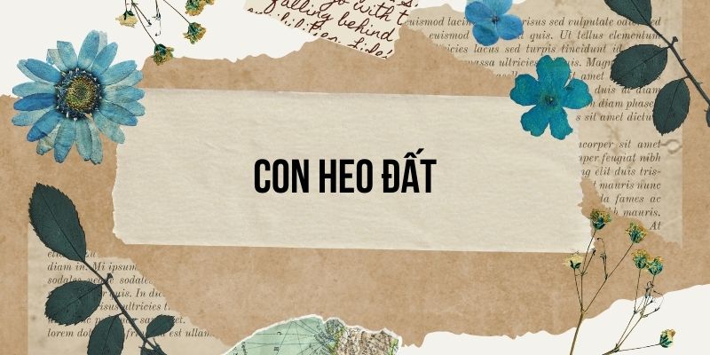 Con heo đất lớp 3 | Tiếng Việt lớp 3 Cánh diều