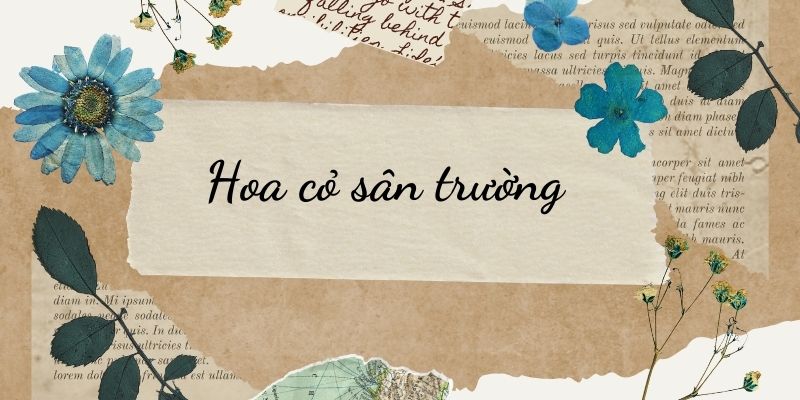 Bài 4: Hoa cỏ sân trường Tiếng Việt lớp 3 Chân trời sáng tạo