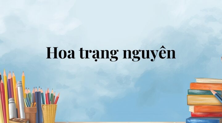 Hoa trạng nguyên lớp 5 (trang 42, 43) – Cánh diều