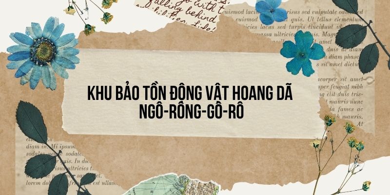 Bài 25: Khu bảo tồn động vật hoang dã Ngô-rông-gô-rô – Tiếng Việt lớp 4 Kết nối tri thức