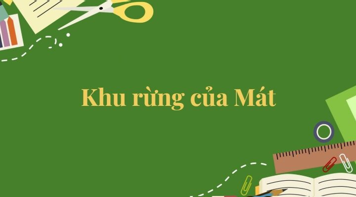 Bài 8: Khu rừng của Mát Tiếng Việt lớp 5 Kết nối tri thức