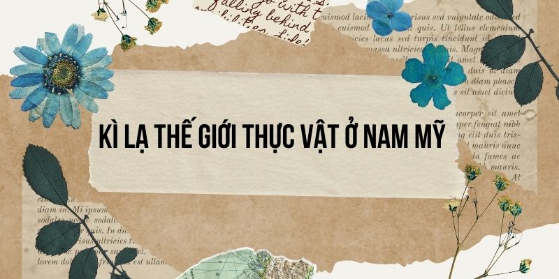 Bài 2: Kì lạ thế giới thực vật ở Nam Mỹ – Tiếng Việt lớp 4 Chân trời sáng tạo