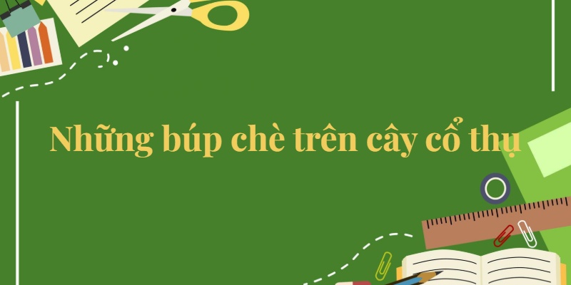 Bài 10: Những búp chè trên cây cổ thụ Tiếng Việt lớp 5 Kết nối tri thức