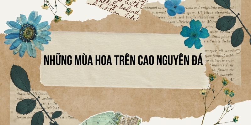 Bài 8: Những mùa hoa trên cao nguyên đá – Tiếng Việt lớp 4 Chân trời sáng tạo