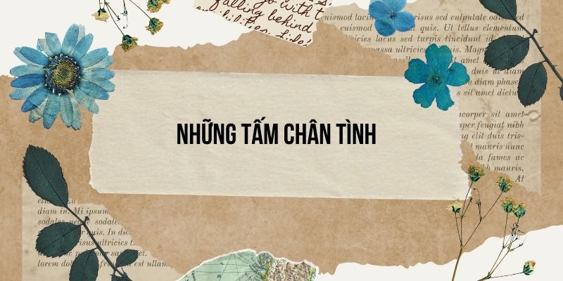 Những tấm chân tình lớp 3 | Tiếng Việt lớp 3 Cánh diều