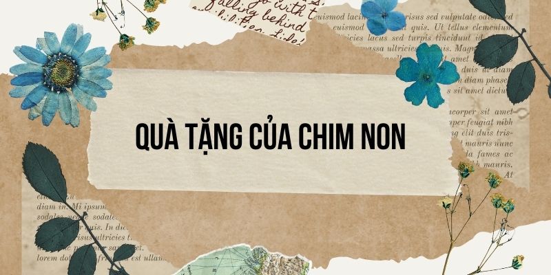 Bài 5: Quà tặng của chim non – Tiếng Việt lớp 4 Chân trời sáng tạo