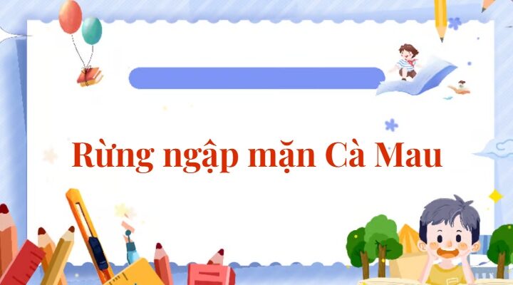 Bài 2: Rừng ngập mặn Cà Mau | Tiếng Việt lớp 2 Chân trời sáng tạo