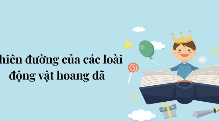 Bài 6: Thiên đường của các loài động vật hoang dã – Tiếng Việt lớp 5 Chân trời sáng tạo