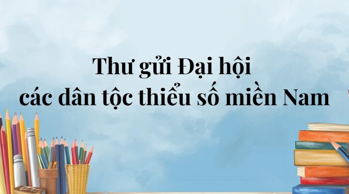 Thư gửi Đại hội các dân tộc thiểu số miền Nam lớp 5 (trang 93, 94) – Cánh diều