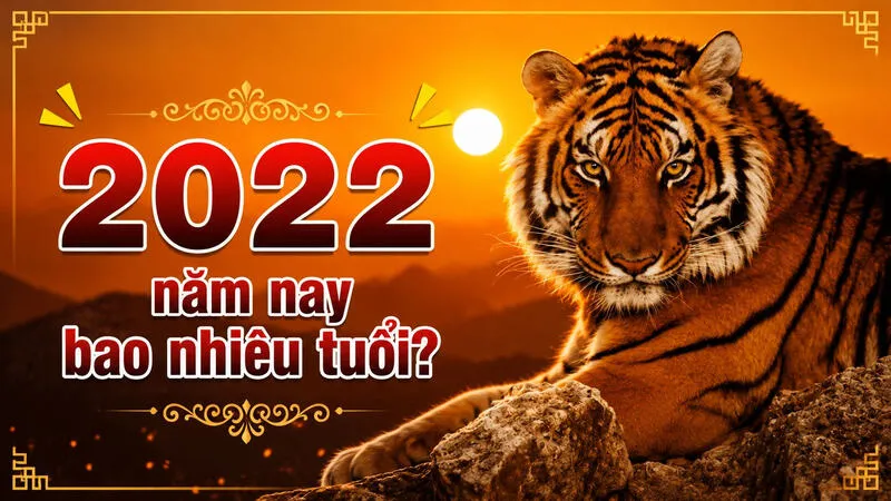 2022 năm nay bao nhiêu tuổi?