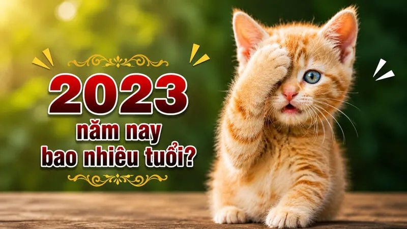 2023 năm nay bao nhiêu tuổi?