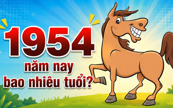 1954 năm nay bao nhiêu tuổi