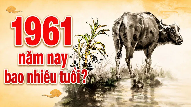 1961 năm nay bao nhiêu tuổi?