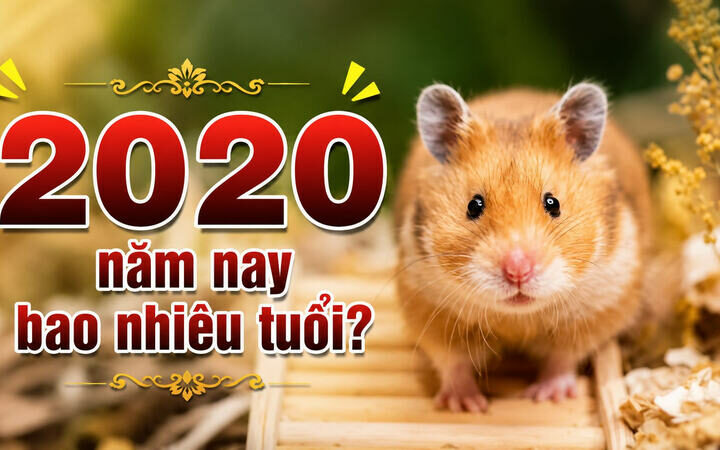 2020 năm nay bao nhiêu tuổi