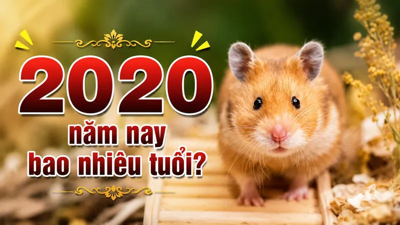 2020 năm nay bao nhiêu tuổi?