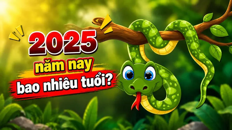 2025 năm nay bao nhiêu tuổi?