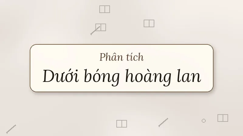 phân tích dưới bóng hoàng lan