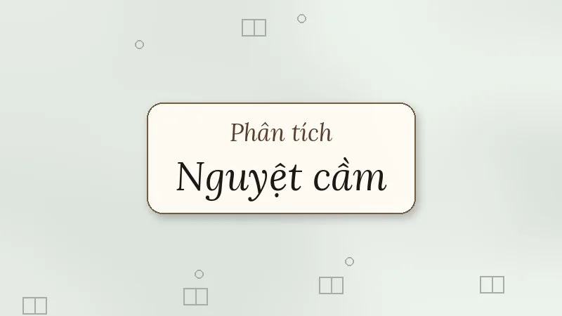 phân tích nguyệt cầm