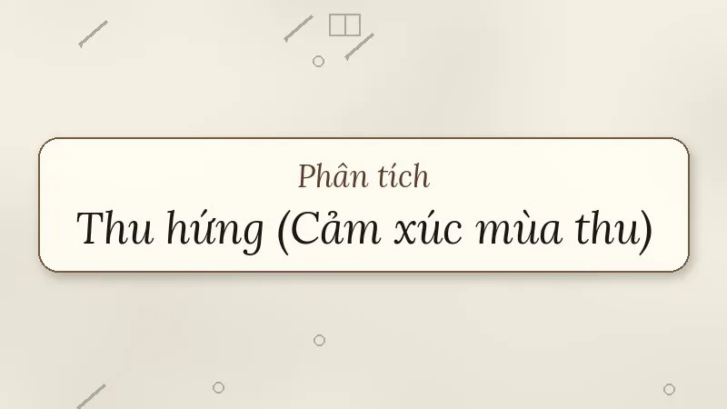 phân tích thu hứng