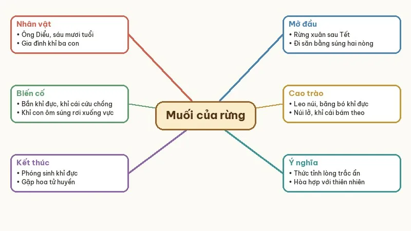 sơ đồ tóm tắt muối của rừng