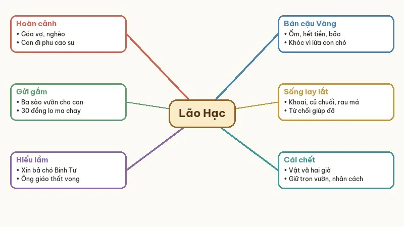 sơ đồ tư duy tóm tắt lão hạc