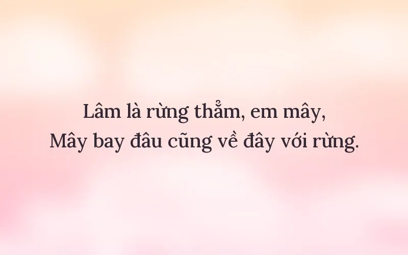 Thả thính người tên Lâm