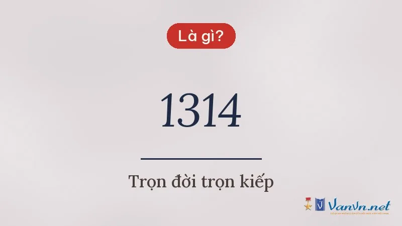 1314 là gì