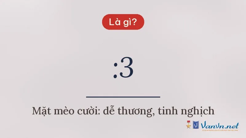 :3 là gì