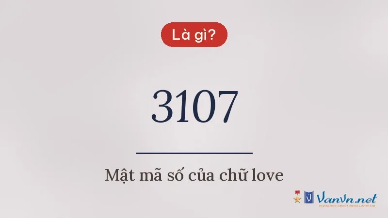 3107 là gì