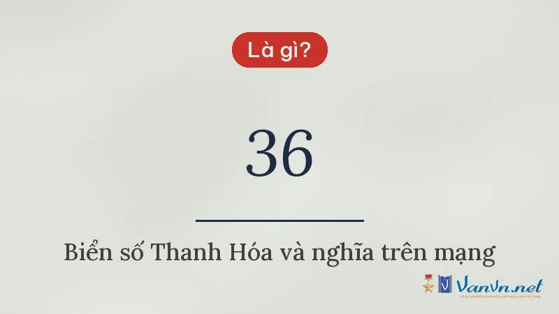 36 là gì