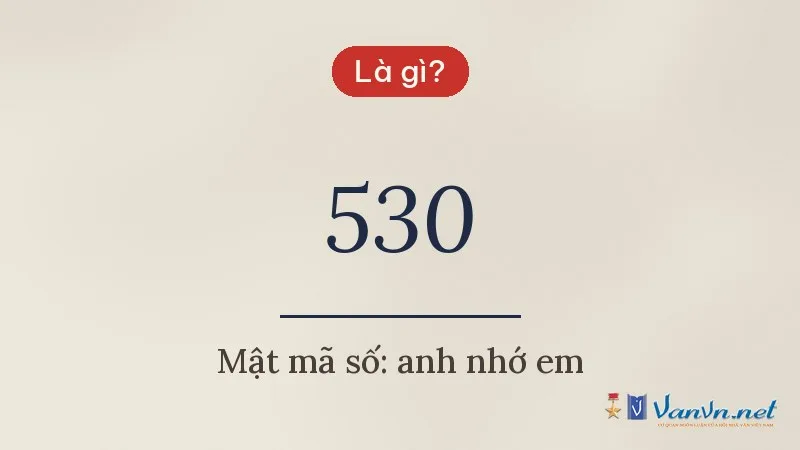 530 là gì