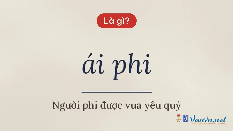 ái phi là gì