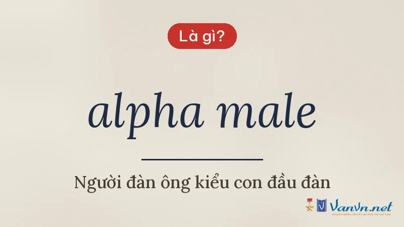 alpha male là gì