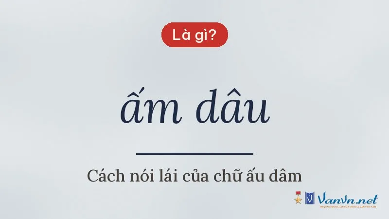 ấm dâu là gì