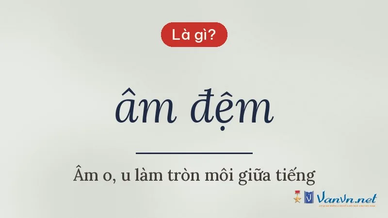 âm đệm là gì