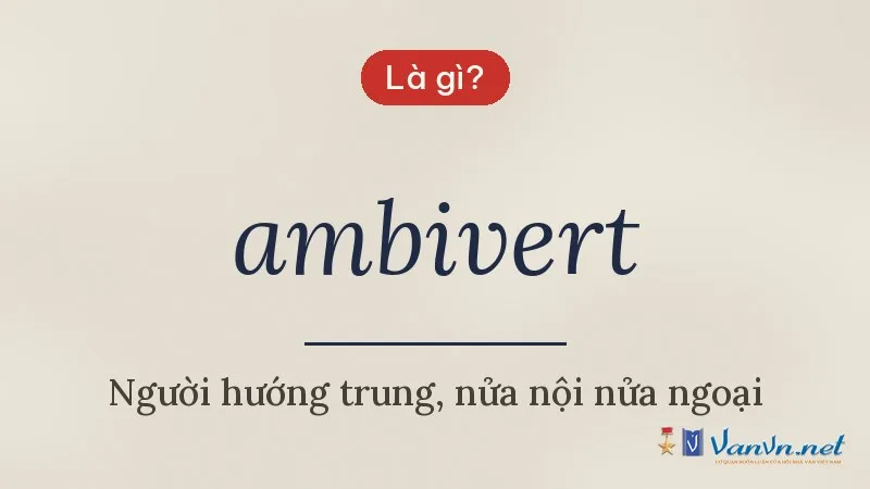 ambivert là gì