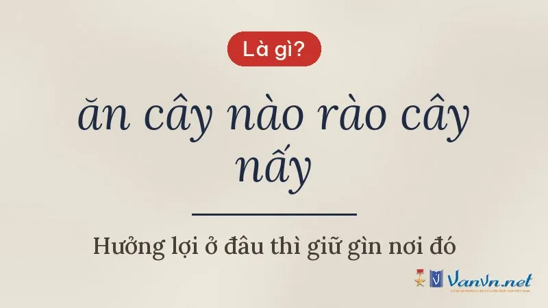 ăn cây nào rào cây nấy là gì