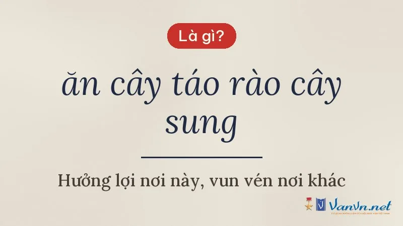 ăn cây táo rào cây sung là gì
