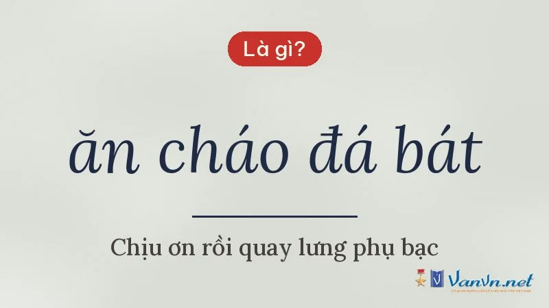 ăn cháo đá bát là gì