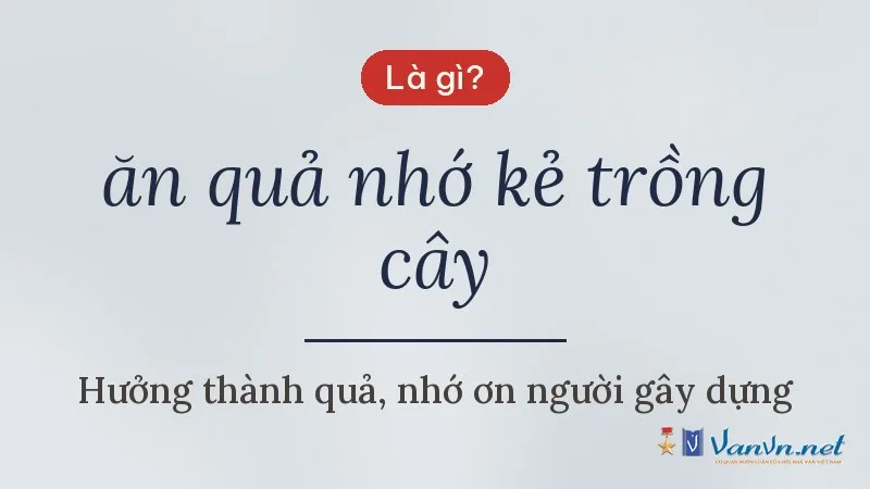 ăn quả nhớ kẻ trồng cây là gì
